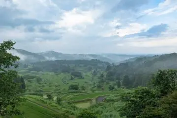 Hoshitoge Rice Terrace