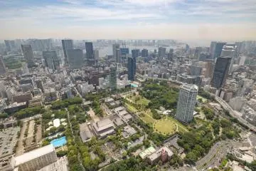 View from Tokyo Tower