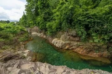 Masudomari
