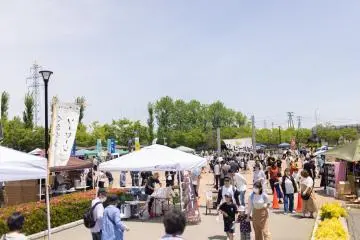 Photo: <a href="https://prtimes.jp/main/html/rd/p/000000195.000090796.html" target="_blank" rel="noreferrer noopener nofollow">Niigata Tourism Association</a>