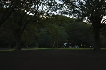 당신은 또한 함께 음악을 연주하거나 연극 등을 연습하는 친구들의 모임도 종종 보게 될 것이다