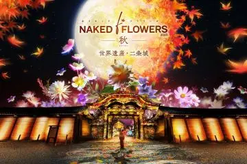 NAKED Flowers Autumn 2024