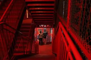 Photo: <a href="https://prtimes.jp/main/html/rd/p/000000073.000043381.html" target="_blank" rel="noreferrer noopener nofollow">TOKYO TOWER Co., Ltd.</a>