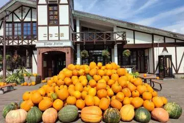 Photo: <a href="https://prtimes.jp/main/html/rd/p/000000012.000066519.html" target="_blank" rel="noreferrer noopener nofollow">Niseko Resort Tourism Association Co., Ltd.</a>
