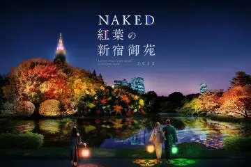 Photo: <a href="https://prtimes.jp/main/html/rd/p/000000939.000008210.html" target="_blank" rel="noreferrer noopener nofollow">Naked Co., Ltd.</a>
