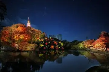 Photo: <a href="https://prtimes.jp/main/html/rd/p/000000939.000008210.html" target="_blank" rel="noreferrer noopener nofollow">Naked Co., Ltd.</a>