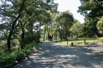 Spacious and verdant grounds