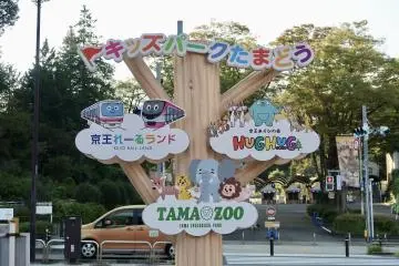Kids Park Tamadou