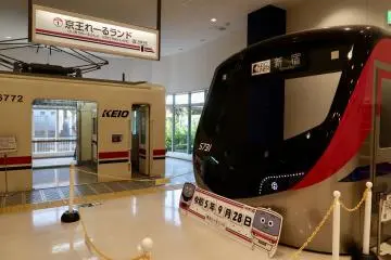 Train models
