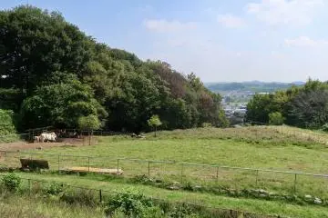 Outdoor view