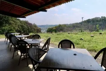 Terrace seats