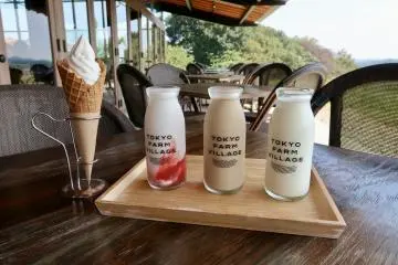 Homemade ice cream and flavored milk