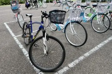 Bicycle rentals