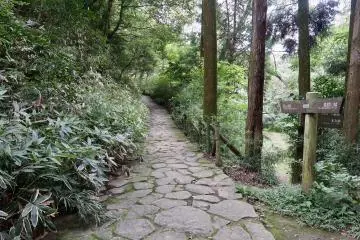 Cobblestone path