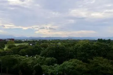 View from the Sky Deck