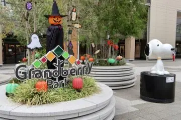 Seasonal decorations