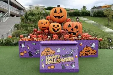 Seasonal decorations