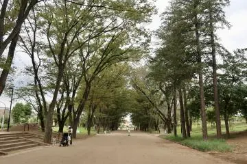 Tsuruma Park’s Suido Street
