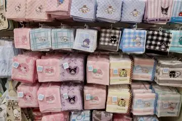 Towel souvenirs
