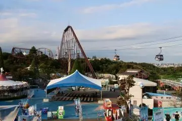 Lots of rides to choose from