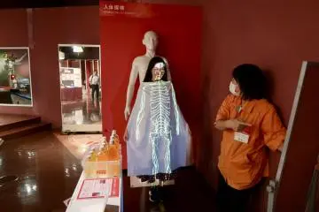 Body projector