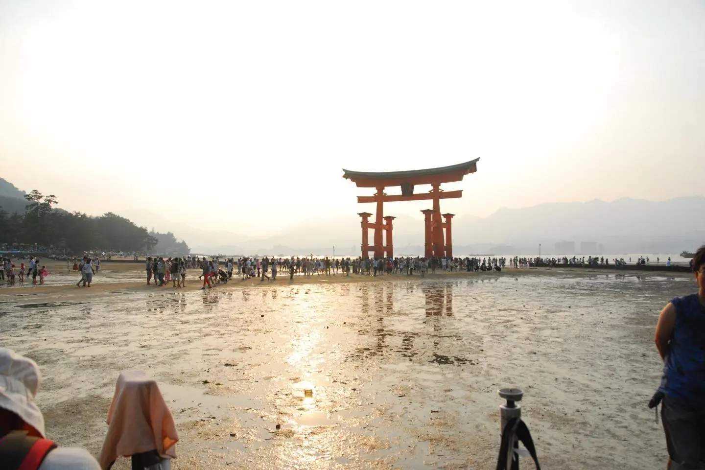 Miyajima Implements Visitor Tax to Tourists