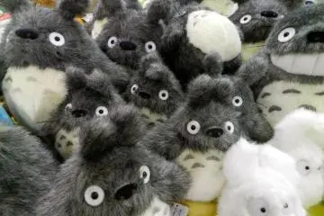 <p>A pile of Tottoro</p>