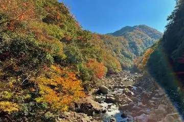 초몬교