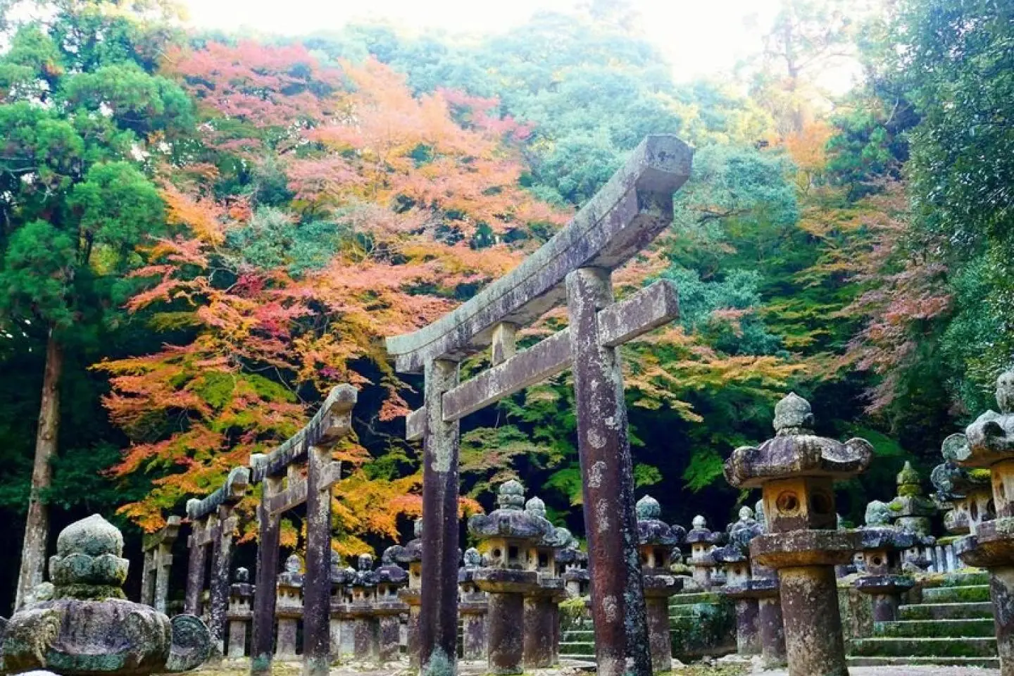 다이쇼인 사찰 (저작권: Hagi City)