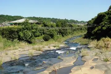 The suspension bridge