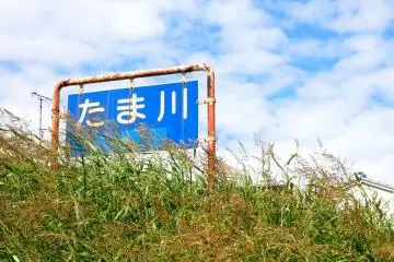 Tamagawa's Scenic Charm 