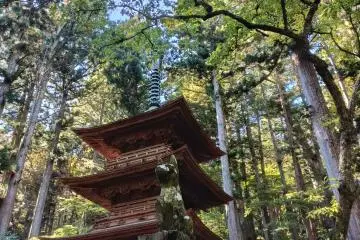 Second Fiddle and the Pagoda 
