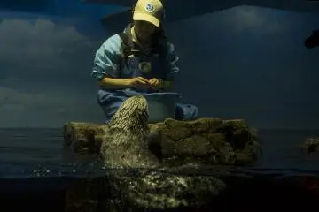 There was a member of staff playing with the otter for the visitors to watch