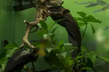 The amphibians were maybe a little more interesting than some of the fish