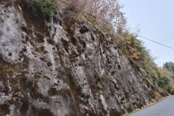 Mountain walk companion