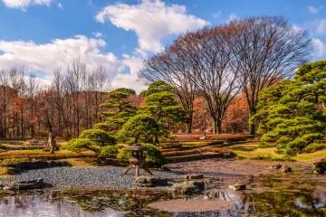 The East Gardens of the Imperial Palace – just one example of beautiful green space in Tokyo