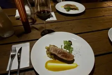 Expertly-cooked duck with apple garnish paired with red wine