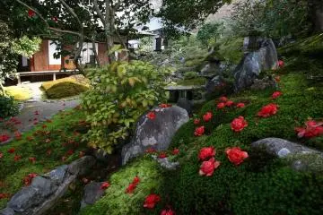 Photo: <a href="https://www.atpress.ne.jp/news/383839" target="_blank" rel="noreferrer noopener nofollow">Amonzeki Temple Kyoto Reikanji Temple, Kyoto Connect Co., Ltd</a>