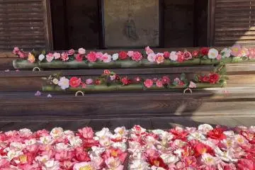 Photo: <a href="https://www.atpress.ne.jp/news/383839" target="_blank" rel="noreferrer noopener nofollow">Amonzeki Temple Kyoto Reikanji Temple, Kyoto Connect Co., Ltd</a>