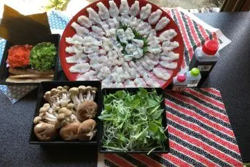 하모 사시미