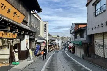 Notice Narita-san Temple’s Great Pagoda of Peace in the distance