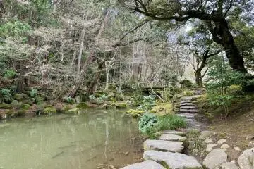 An enchanting walkway