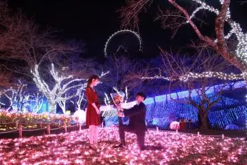 Sagamiko Illumillion Operation Love Confession 2024