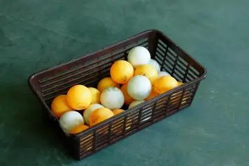 All Japan Waraji Table Tennis Tournament 2027