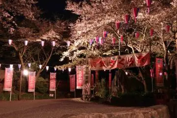 Night illuminations