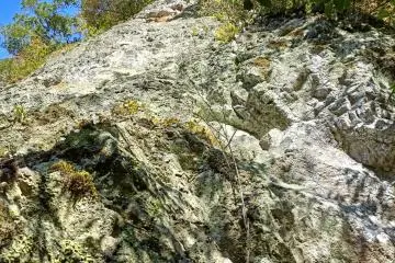 Look Up!