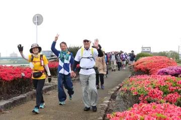 Kurume Azalea March 2027