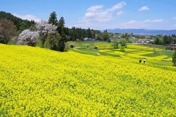 Photo: <a href="https://prtimes.jp/main/html/rd/p/000000107.000032901.html" target="_blank" rel="noreferrer noopener nofollow">一般財団法人 公園財団　Parks Japan.F</a>