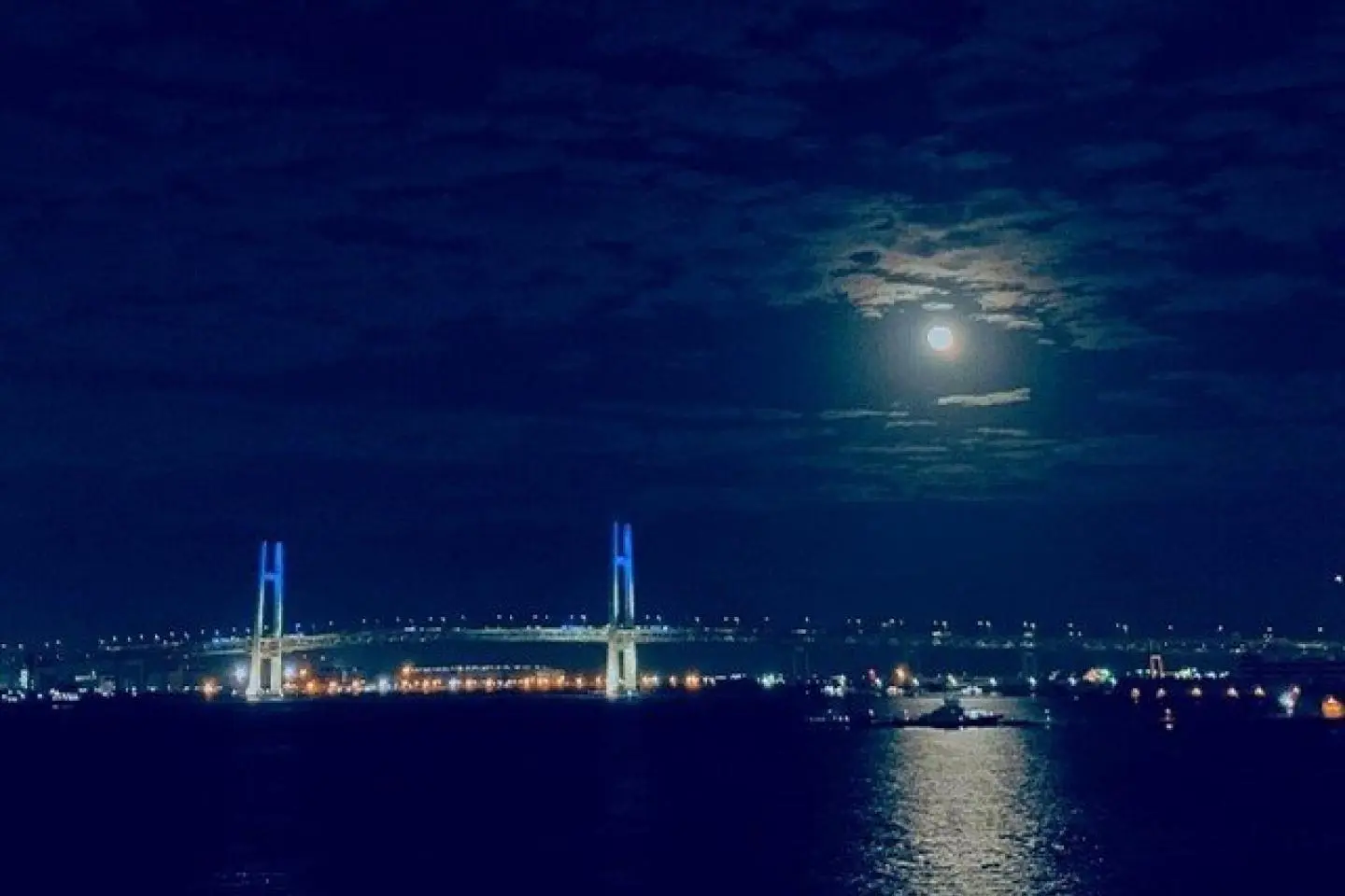 照片由: Yokohama Port Osanbashi International Passenger Terminal