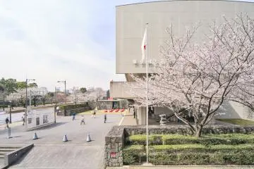 Spring Festival in the National Museum of Modern Art, Tokyo 2024